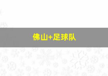 佛山 足球队